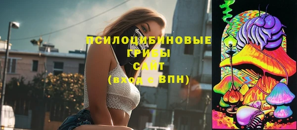 2c-b Белокуриха